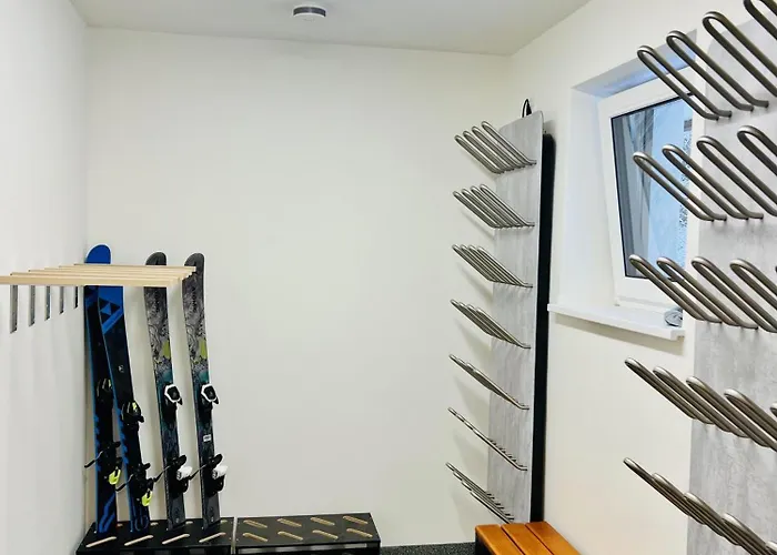 Erle 181 4 Apartment Schladming